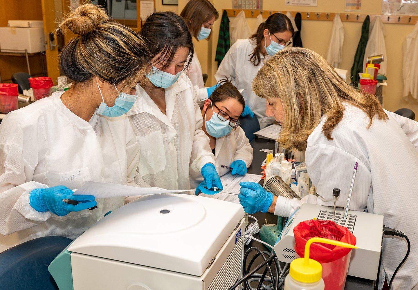 Medical Technology students work in the lab